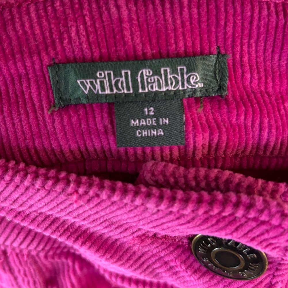 Wild Fable NWT Hot Pink Corduroy Skirt size 12 - Picture 4 of 6